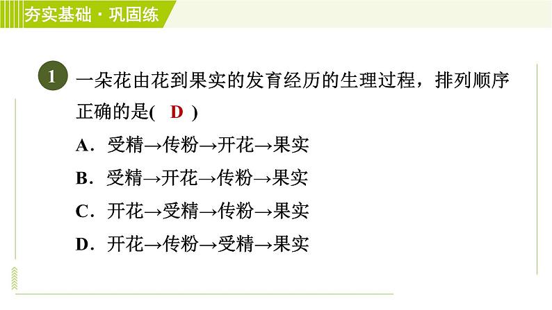 华师版七年级下册科学 第7章 习题课件03