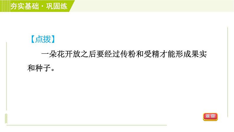 华师版七年级下册科学 第7章 习题课件04