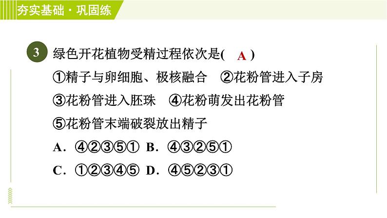 华师版七年级下册科学 第7章 习题课件06