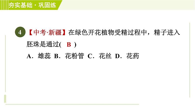 华师版七年级下册科学 第7章 习题课件08