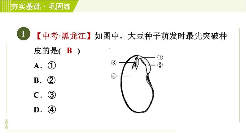 华师版七年级下册科学 第7章 习题课件03