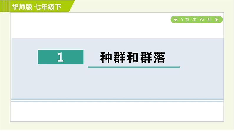 华师版七年级下册科学 第5章 5.1种群和群落 习题课件第1页