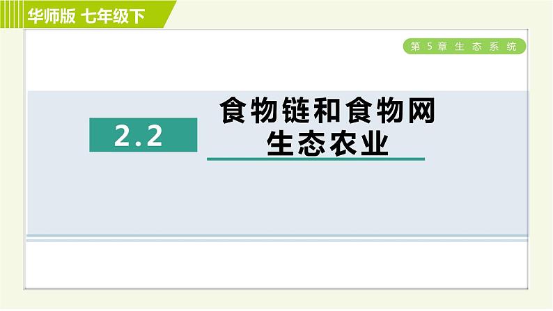 华师版七年级下册科学 第5章 5.2.2食物链和食物网　生态农业 习题课件第1页