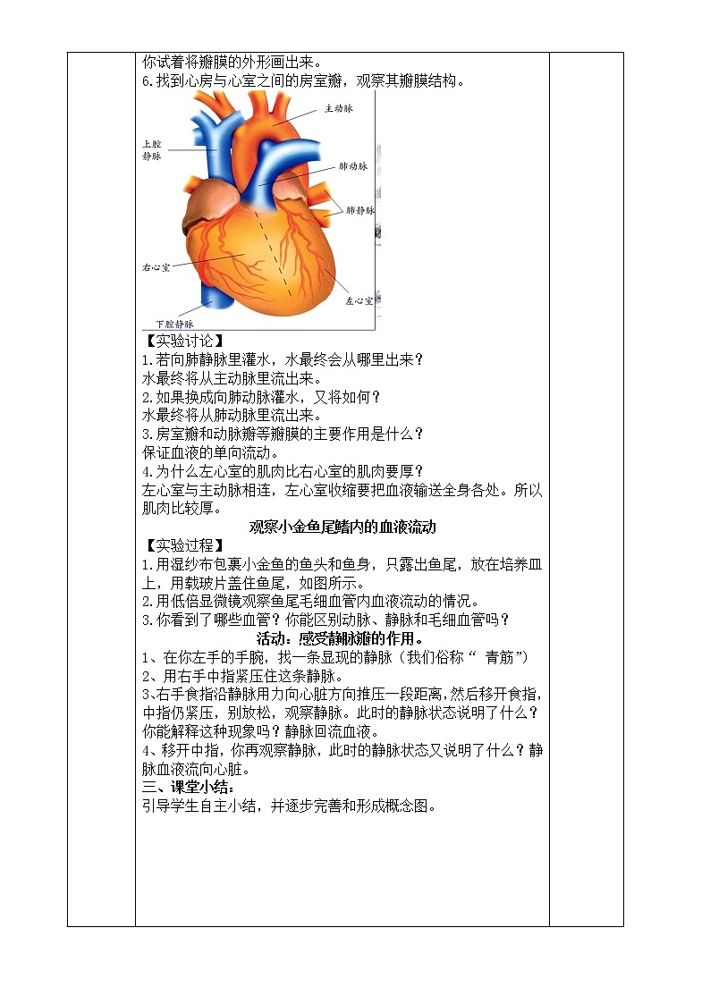 4.3  体内物质的运输（第4课时）—浙教版九年级科学上册教案02
