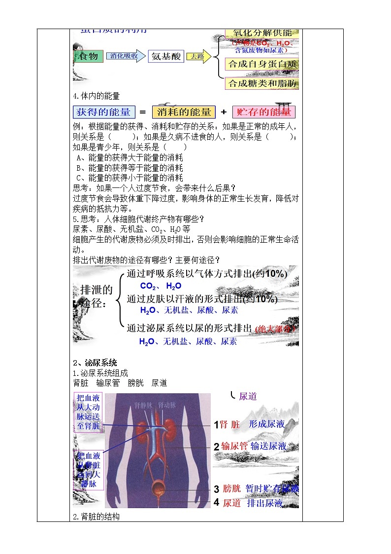 4.5  体内物质的动态平衡（第1课时）—浙教版九年级科学上册教案02
