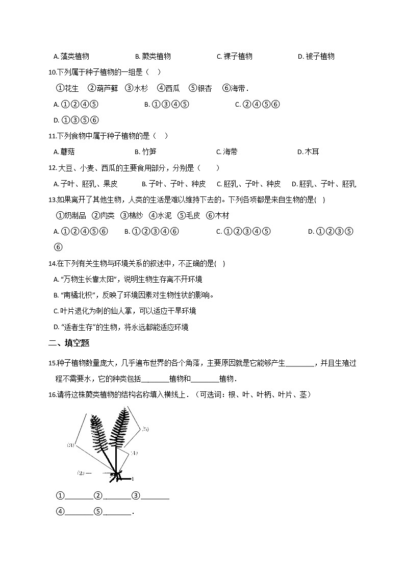 2.5 常见的植物— 浙教版七年级科学上册练习02