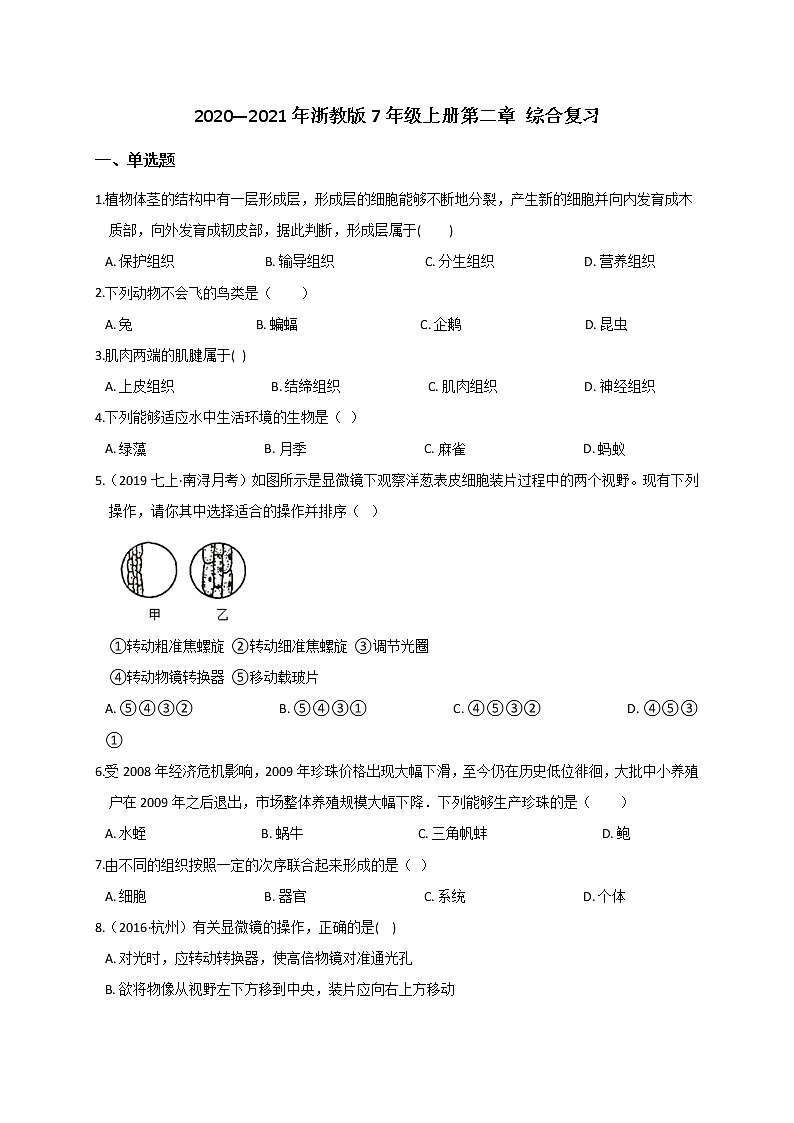 第二章 综合复习— 浙教版七年级科学上册练习01