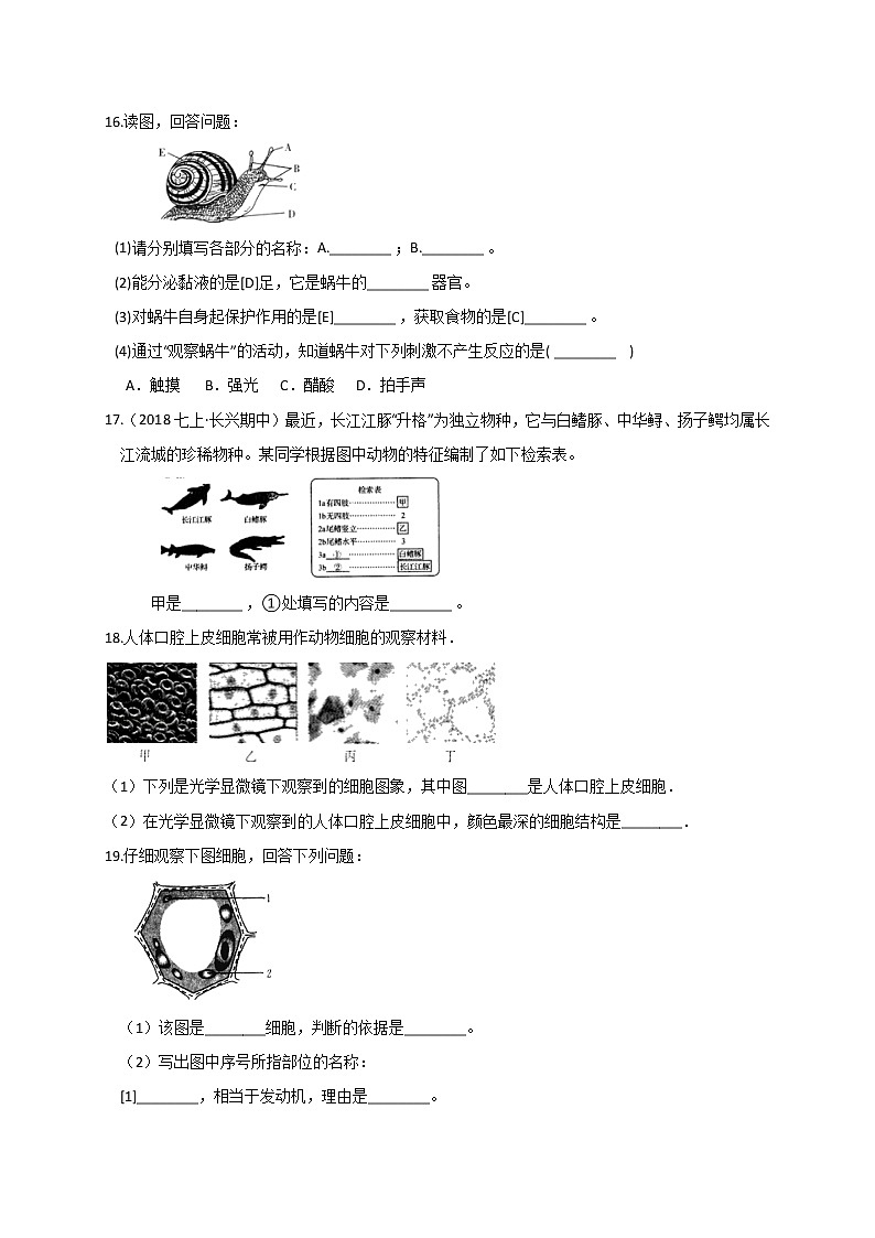 第二章 综合复习— 浙教版七年级科学上册练习03