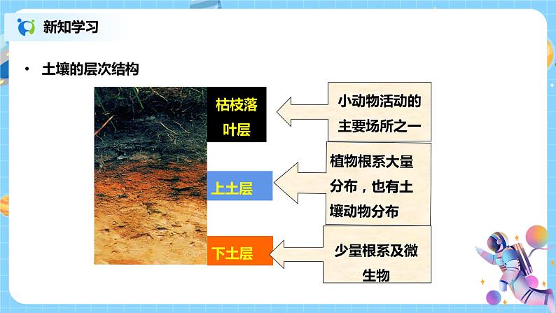 浙教版科学八4.1《土壤的成分 第1课时》课件07