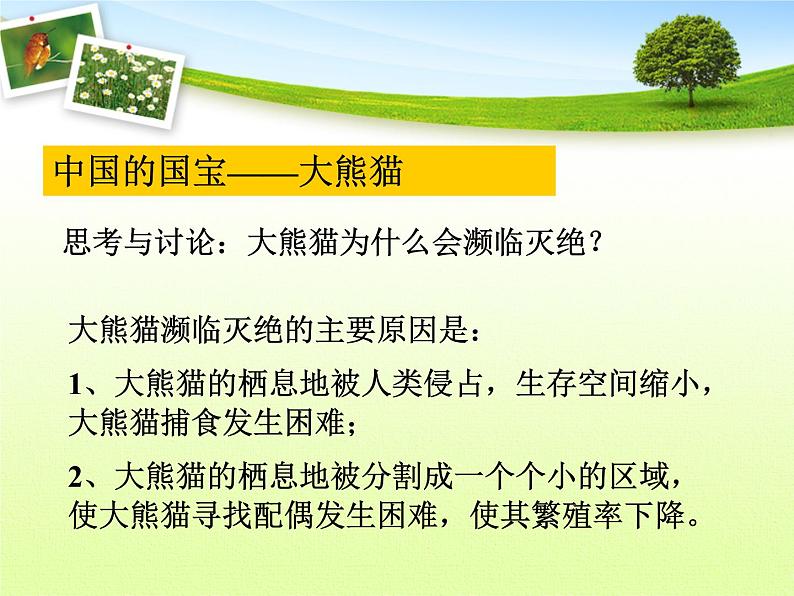 华师大版科学七年级上册 3.3 保护生物多样性_课件02