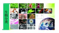 2020-2021学年4 生物的分类背景图ppt课件