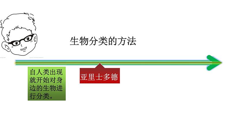 华师大版科学七年级上册 2.4 生物的分类 课件07