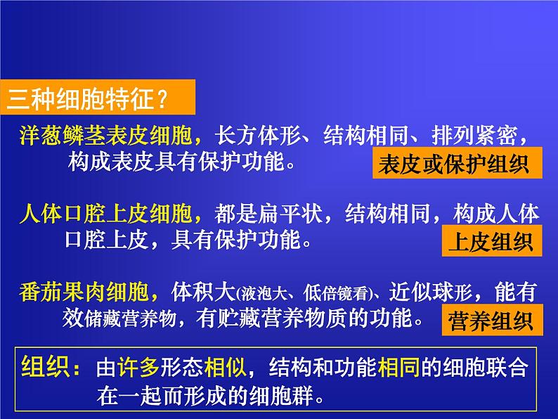 华师大版科学七年级上册 4.3 组织、器官和系统_课件02