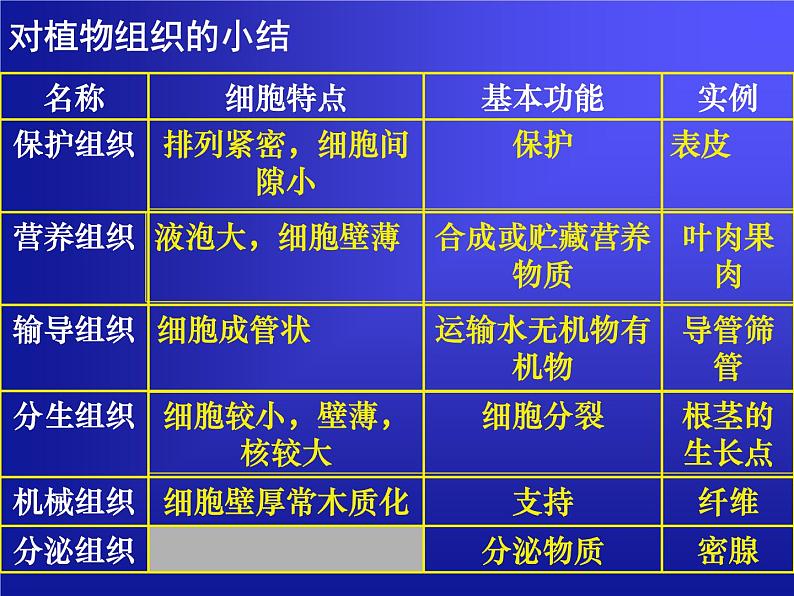 华师大版科学七年级上册 4.3 组织、器官和系统_课件07