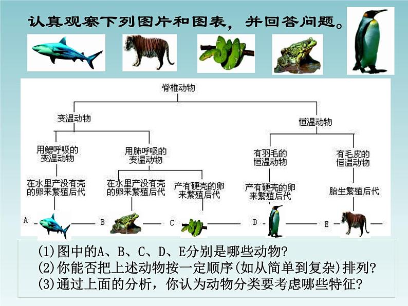 华师大版科学七年级上册 2.4 生物的分类_课件05