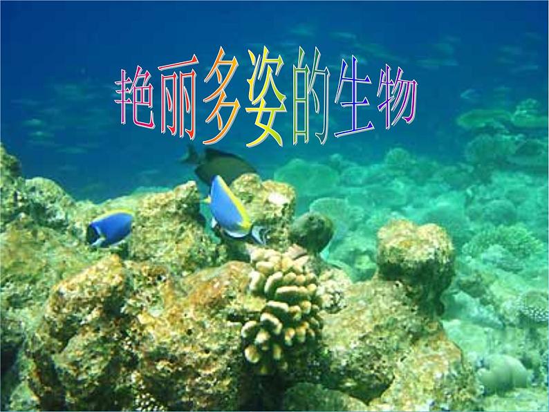 华师大版科学七年级上册 1.1 艳丽多姿的生物_课件01
