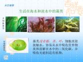 华师大版科学七年级上册 1.1 艳丽多姿的生物_课件