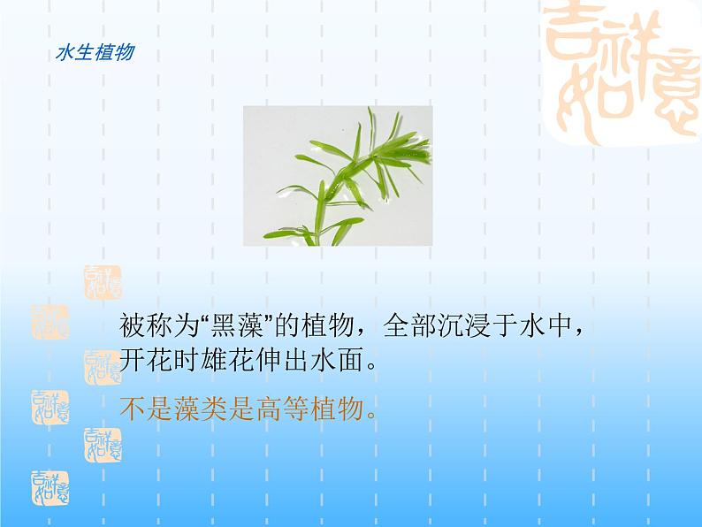 华师大版科学七年级上册 1.1 艳丽多姿的生物_课件07