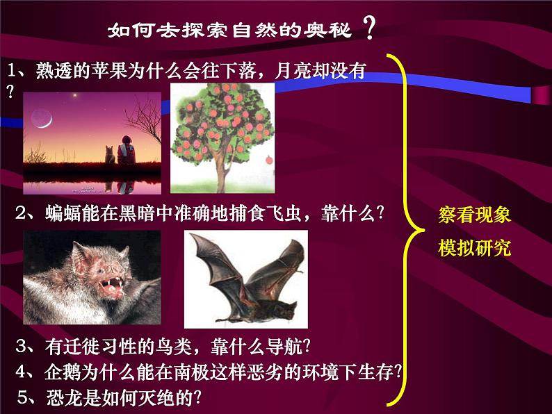 华师大版科学七年级上册 走近科学 探索奇妙的自然界_课件08