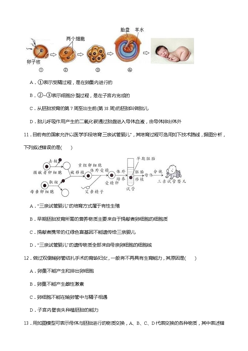 2021-2022学年度浙教版科学七年级下册 1.1新生命的诞生同步练习第3页