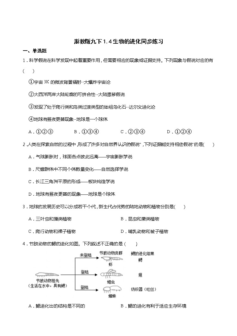 浙教版科学九年级下册1.4生物的进化同步练习01