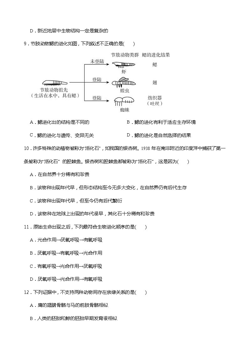 浙教版科学九年级下册1.4生物的进化同步练习03