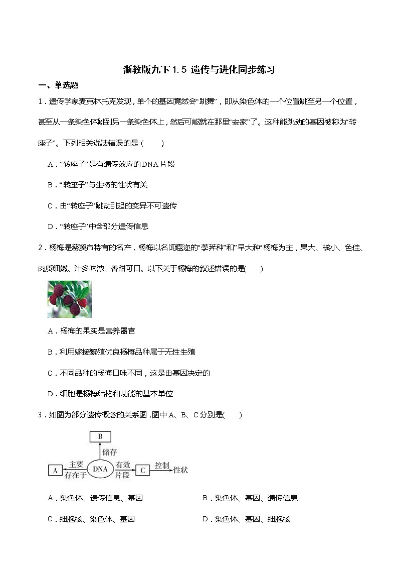 浙教版科学九年级下册1.5 遗传与进化同步练习01