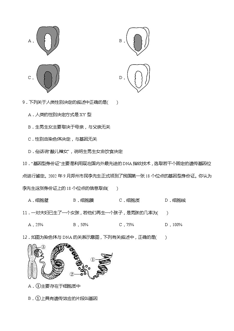 浙教版科学九年级下册1.5 遗传与进化同步练习03