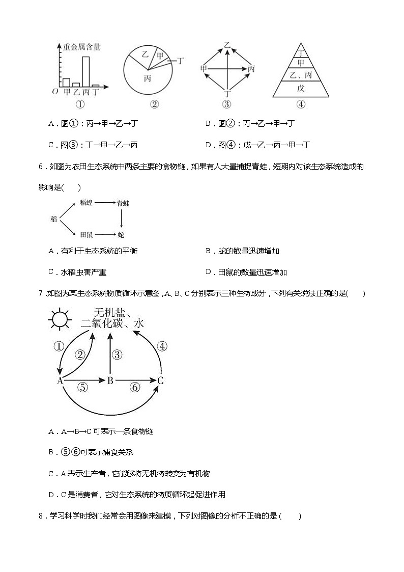 浙教版科学九年级下册2.4生态系统的结构和功能同步练习03