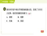 浙教版七年级下册科学 第3章 3.4.1 牛顿第一定律 习题课件