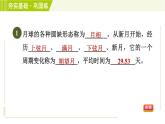 浙教版七年級(jí)下冊(cè)科學(xué) 第4章 4.4 月相 習(xí)題課件
