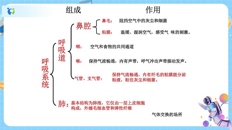 浙教版科学八年级下册 第3章 第5节 生物的呼吸和呼吸作用 (第1课时)课件PPT+教案+练习08