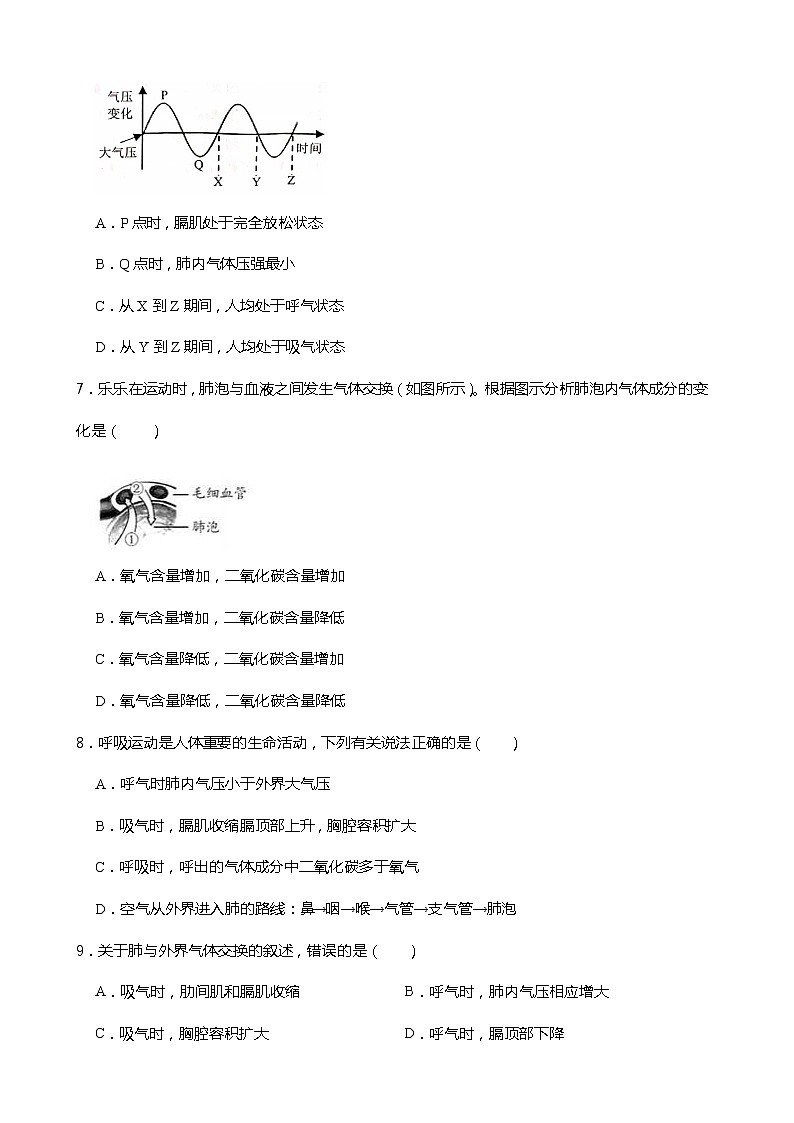 浙教版科学八年级下册 第3章 第5节 生物的呼吸和呼吸作用 (第1课时)课件PPT+教案+练习03