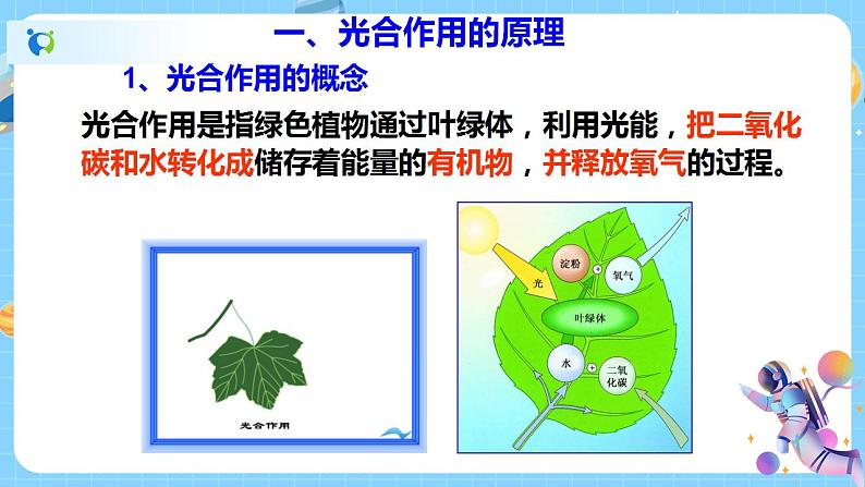 浙教版科学八年级下册 第3章 第6节 光合作用 (第1课时)课件PPT+教案+练习04