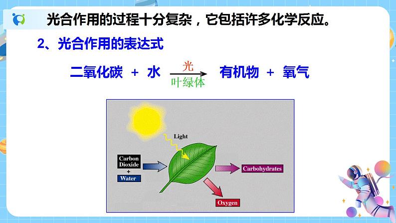 浙教版科学八年级下册 第3章 第6节 光合作用 (第1课时)课件PPT+教案+练习05