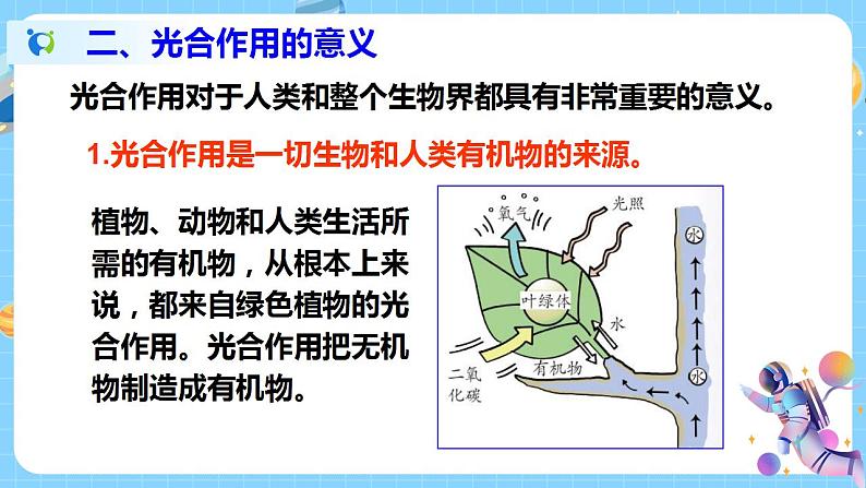 浙教版科学八年级下册 第3章 第6节 光合作用 (第1课时)课件PPT+教案+练习07