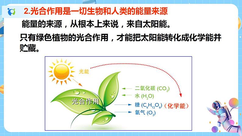 浙教版科学八年级下册 第3章 第6节 光合作用 (第1课时)课件PPT+教案+练习08