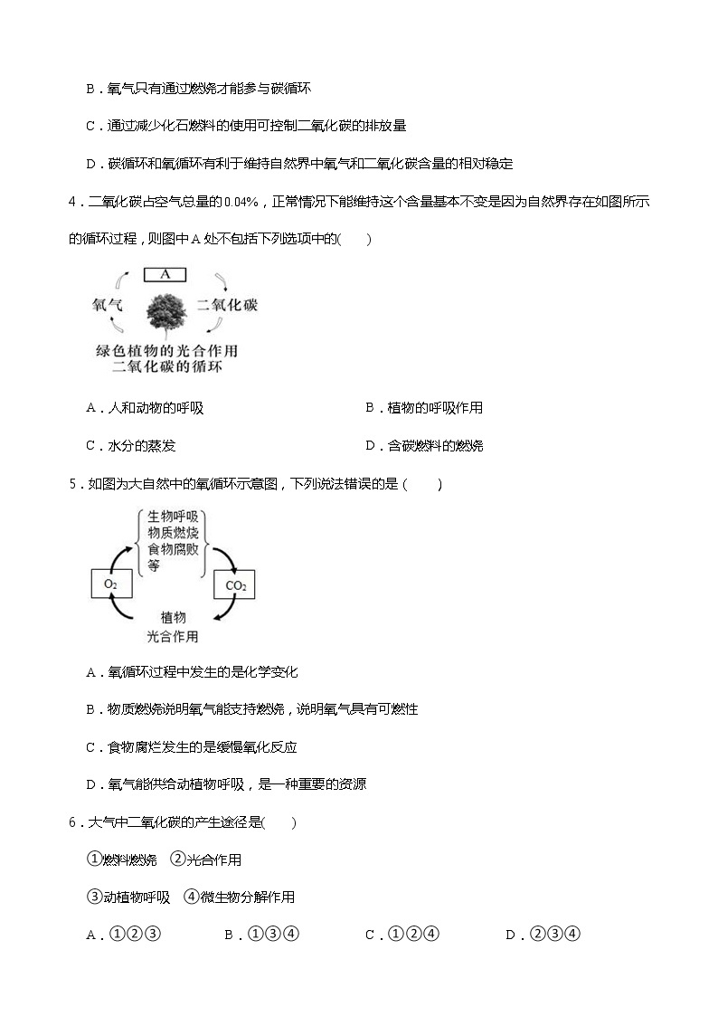 浙教版科学八年级下册 第3章 第7节 自然界中的氧循环和碳循环课件PPT+教案+练习02