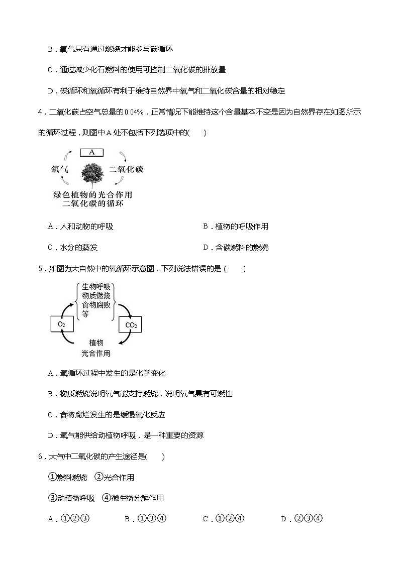 3.7 自然界中的氧循环和碳循环 同步练习第2页