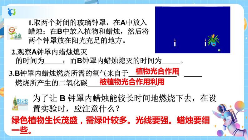 浙教版科学八年级下册 第3章 第7节 自然界中的氧循环和碳循环课件PPT+教案+练习05