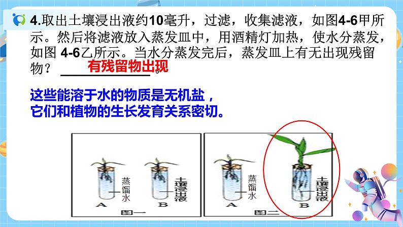 浙教版科学八年级下册 第4章 第1节 土壤的成分 (第2课时)课件PPT+教案+练习04