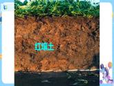 浙教版科学八年级下册 第4章 第2节 各种各样的土壤课件PPT+教案+练习
