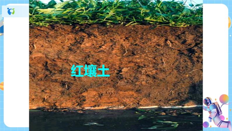 浙教版科学八年级下册 第4章 第2节 各种各样的土壤课件PPT+教案+练习03