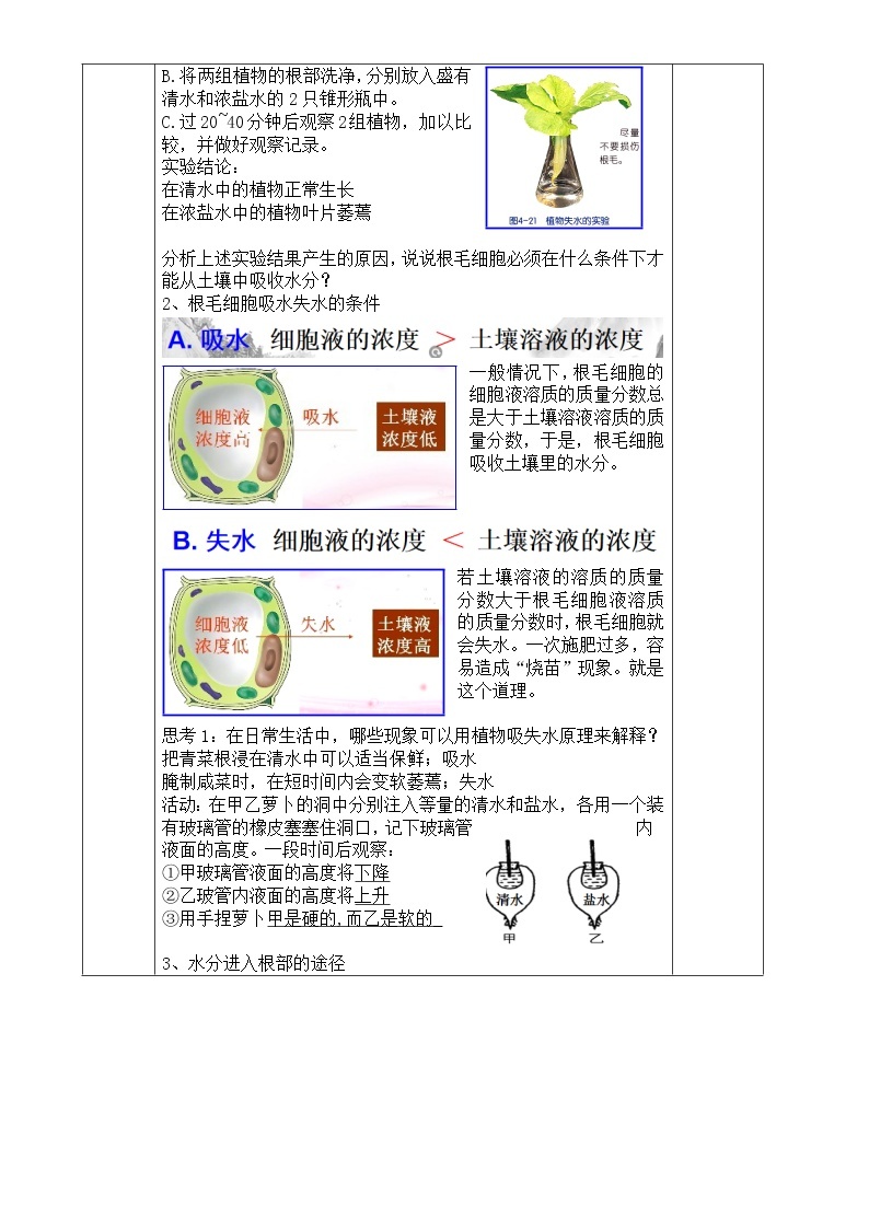 浙教版科学八年级下册 第4章 第3节 植物的根与物质吸收 (第2课时)课件PPT+教案+练习02