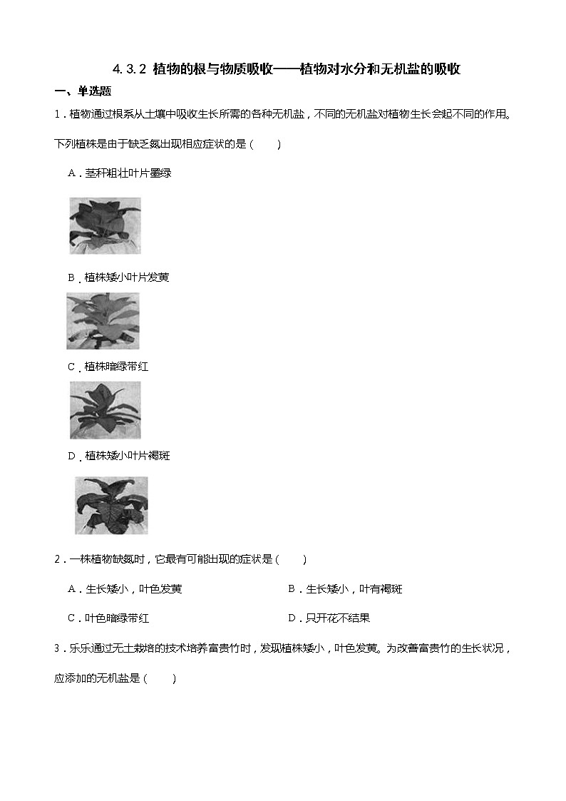 4.3.2 植物的根与物质吸收——植物对水分和无机盐的吸收 同步练习第1页