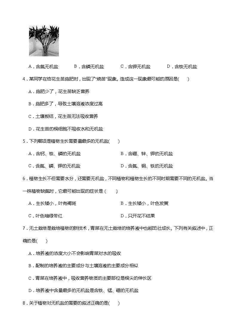 4.3.2 植物的根与物质吸收——植物对水分和无机盐的吸收 同步练习第2页
