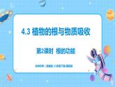 浙教版科学八年级下册 第4章 第3节 植物的根与物质吸收 (第2课时)课件PPT+教案+练习
