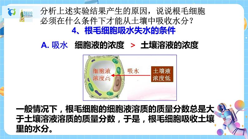 浙教版科学八年级下册 第4章 第3节 植物的根与物质吸收 (第2课时)课件PPT+教案+练习05