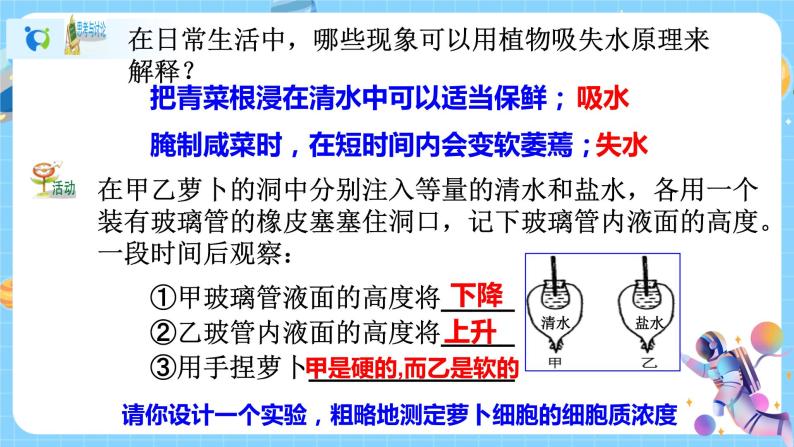 浙教版科学八年级下册 第4章 第3节 植物的根与物质吸收 (第2课时)课件PPT+教案+练习07