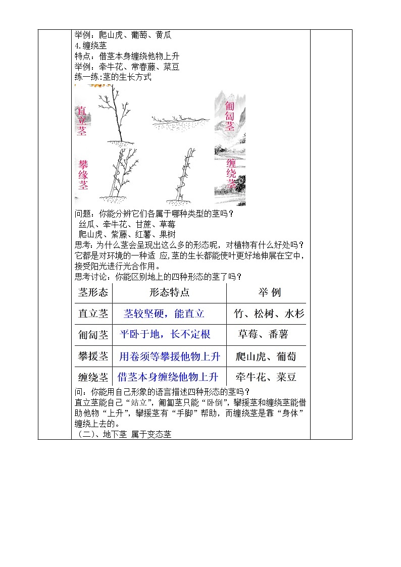 浙教版科学八年级下册 第4章 第4节 植物的茎与物质运输 (第1课时)课件PPT+教案+练习02